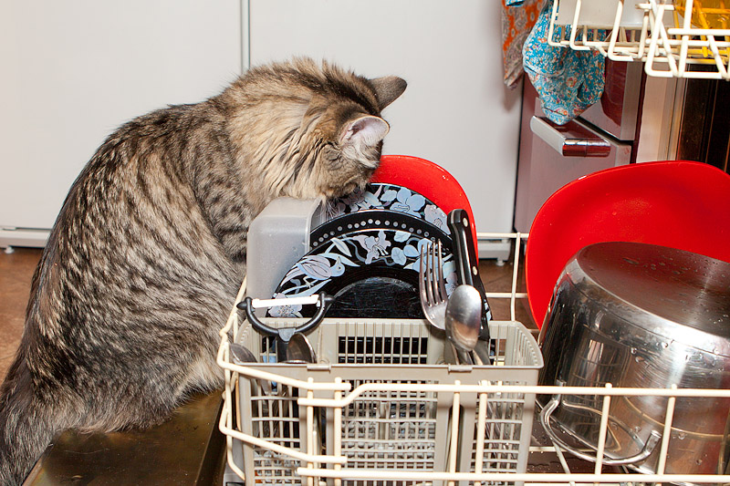 Причины поломок посудомоек