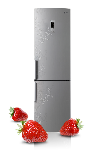 Ремонт холодильников LG в Киеве